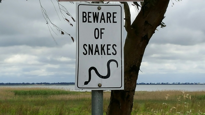 Stay snake aware - 981 3HA / 92.9 3HA FM