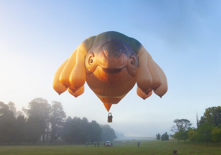 Skywhale download the new version for ios